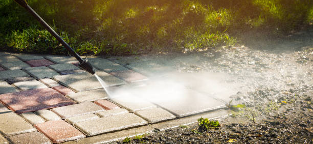 Best Animal Enclosure Cleaning  in Lyman, WY